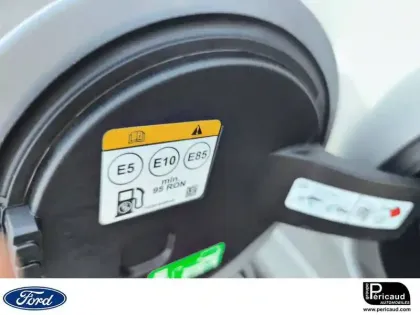 Photo 12 Ford Puma  1.0 Flexifuel 125 ch mHEV S&S BVM6