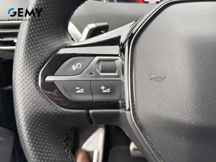 Photo 42 Peugeot 3008  BlueHDi 130ch S&S EAT8