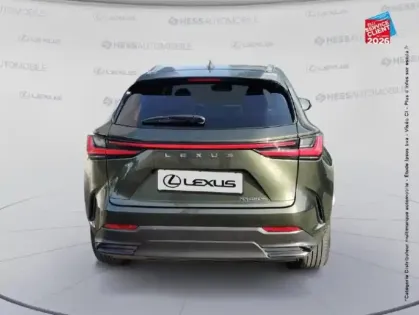 Photo 6 Lexus Nx  450h+ Executive 4WD MY24 TOuvrant Siege chauf ventil Volant chauf Camera