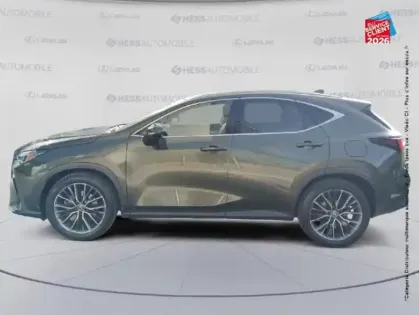 Photo 8 Lexus Nx  450h+ Executive 4WD MY24 TOuvrant Siege chauf ventil Volant chauf Camera