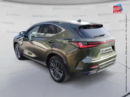 Photo 7 Lexus Nx  450h+ Executive 4WD MY24 TOuvrant Siege chauf ventil Volant chauf Camera
