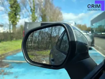 Photo 92 Ford Puma  1.0 EcoBoost 125 ch mHEV S&S Powershift