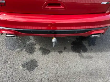 Photo 26 Ford Kuga 2.0 EcoBlue 150ch mHEV ST-Line X