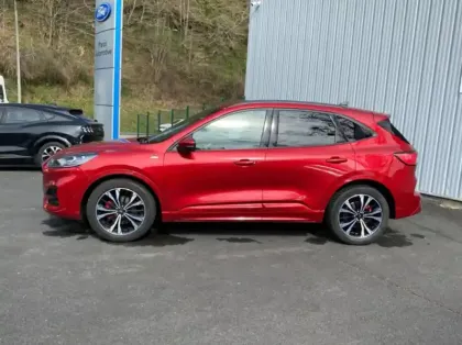 Photo 22 Ford Kuga 2.0 EcoBlue 150ch mHEV ST-Line X