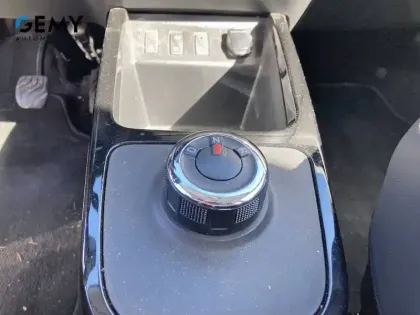 Photo 16 Dacia Spring  Achat Intégral