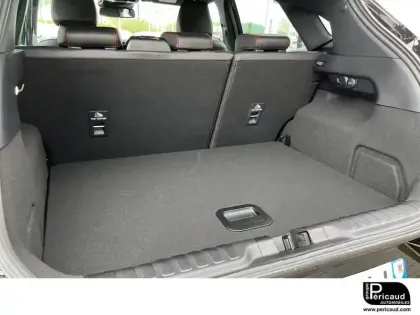 Photo 22 Ford Puma  1.0 EcoBoost 125 ch mHEV S&S Powershift