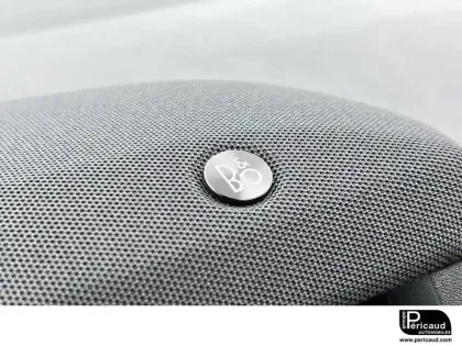 Photo 20 Ford Puma  1.0 EcoBoost 125 ch mHEV S&S Powershift