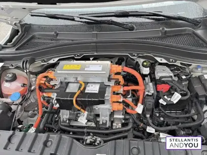 Photo 13 Fiat Panda Grande  e 83 ch