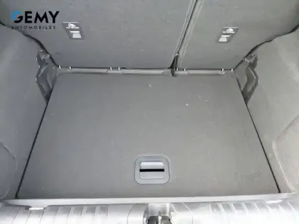 Photo 14 Ford Puma  1.0 Flexifuel 125 ch mHEV S&S BVM6