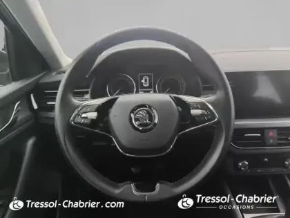 Photo 11 Skoda Kamiq  1.0 TSI Evo 110 ch BVM6 Ambition