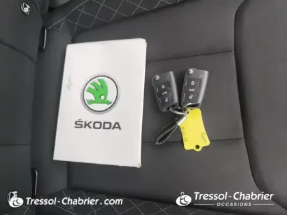 Photo 15 Skoda Kamiq  1.0 TSI Evo 110 ch BVM6 Ambition