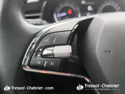 Photo 18 Skoda Kamiq  1.0 TSI Evo 110 ch BVM6 Ambition