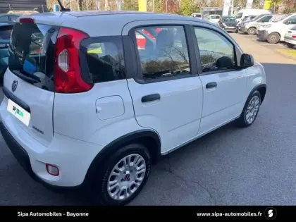 Photo 64 Fiat Panda  1.0 70 ch Hybrid BSG S/S