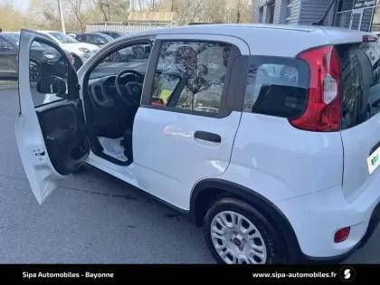Photo 61 Fiat Panda  1.0 70 ch Hybrid BSG S/S