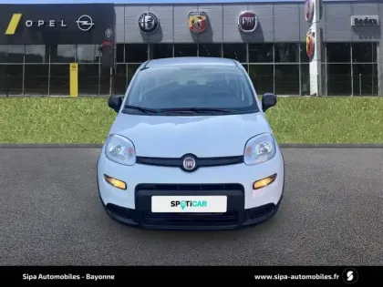Photo 75 Fiat Panda  1.0 70 ch Hybrid BSG S/S