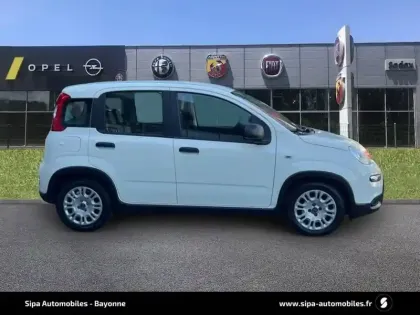 Photo 77 Fiat Panda  1.0 70 ch Hybrid BSG S/S