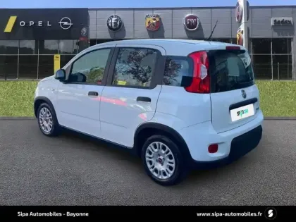 Photo 6 Fiat Panda  1.0 70 ch Hybrid BSG S/S