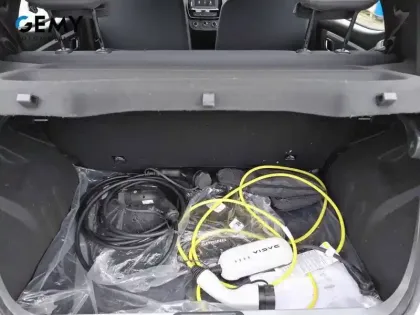 Photo 5 Dacia Spring 