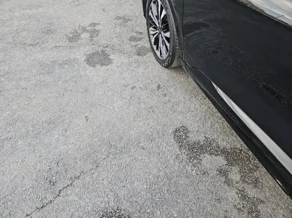 Photo 47 Ford Kuga Gén. III Ph1 ST-Line Business 5