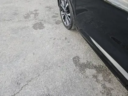 Photo 14 Ford Kuga 2.5 Duratec 190ch FHEV E85 ST-Line Business BVA