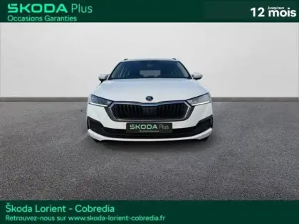 Photo 16 Skoda Octavia  Combi 2.0 TDI 150ch Business DSG7