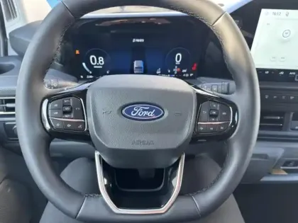 Photo 14 Ford Custom Gén. II Ph1 Limited 1