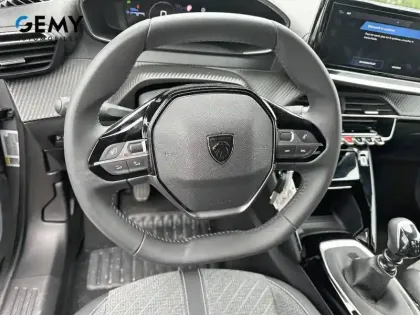 Photo 11 Peugeot 2008  100 S&S BVM6