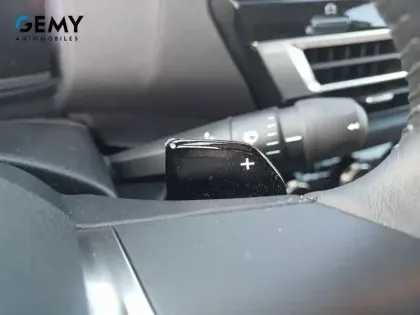 Photo 38 Citroën C4  PureTech 130 S&S EAT8