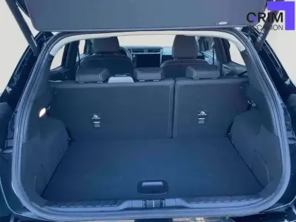 Photo 11 Ford Puma  1.0 EcoBoost 125 ch mHEV S&S BVM6