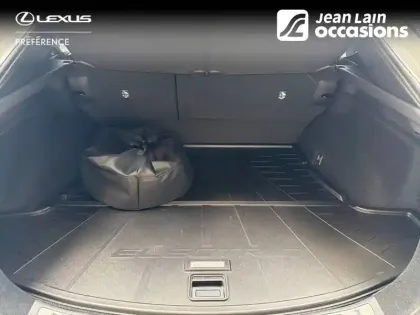 Photo 49 Lexus RZ  550e