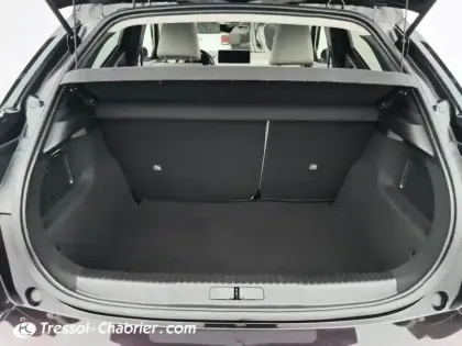 Photo 7 DS DS 3 Gén. I Ph1 Grand Chic 5