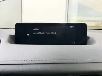 Photo 24 Mazda Mx-30 E-SKYACTIV 145 CH