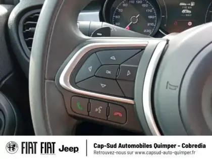 Photo 24 Fiat 500 Gén. I Ph2 Cross 5