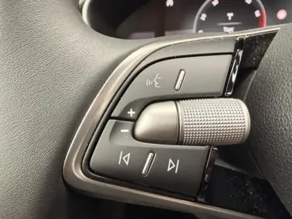 Photo 13 Skoda Fabia  1.0 TSI Evo2 116ch Selection DSG7