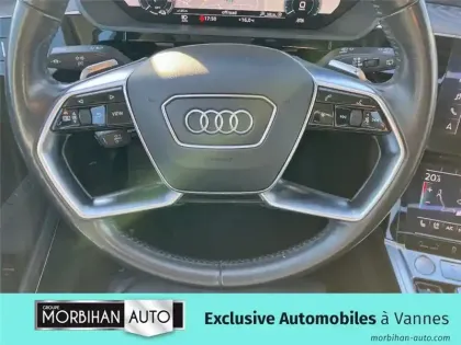 Photo 12 Audi E-tron 55 QUATTRO 408 CH