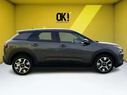 Photo 5 Citroën C4 1.5 BlueHDi 102 Shine Business