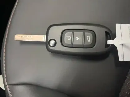 Photo 44 Dacia Spring  electric 100