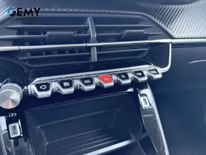 Photo 46 Peugeot 208 Gén. II Ph1 NG Style 5