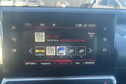 Photo 14 Citroën C4  Cactus PureTech 110 S&S EAT6