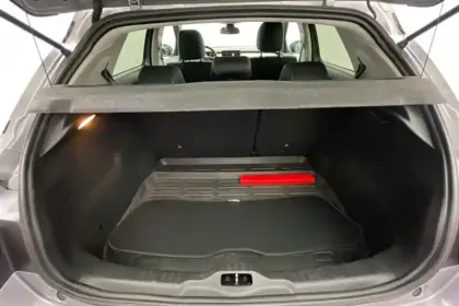 Photo 101 Citroën C4  Cactus PureTech 110 S&S EAT6