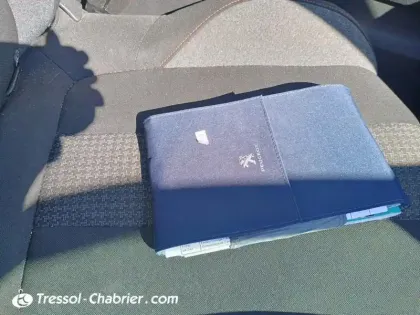 Photo 15 Peugeot 3008  Puretech 130ch S&S EAT8 Active Business