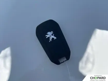 Photo 57 Peugeot 208 Gén. II Ph1 NG Style 5