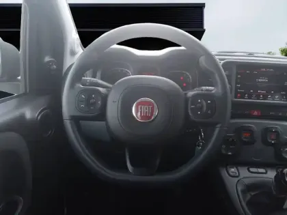 Photo 37 Fiat Panda Gén. III Ph1 NG City Cross 5