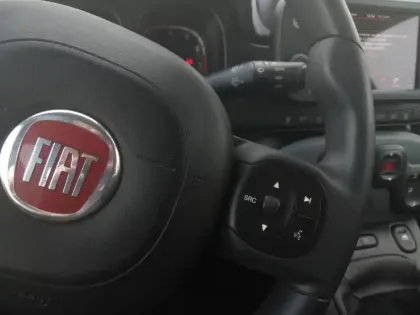 Photo 48 Fiat Panda Gén. III Ph1 NG City Cross 5