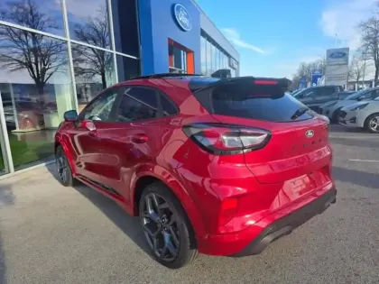 Photo 6 Ford Puma  1.0 EcoBoost Hybrid 170ch ST S&S Powershift