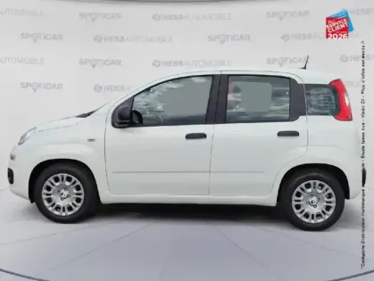 Photo 8 Fiat Panda Gén. III Ph2 MY26 Icône 5
