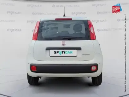 Photo 6 Fiat Panda Gén. III Ph2 MY26 Icône 5