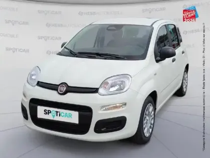 Photo Fiat Panda Icône