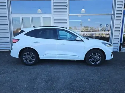 Photo 55 Ford Kuga Gén. III Ph1 ST-Line 5