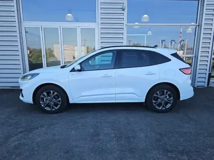 Photo 53 Ford Kuga Gén. III Ph1 ST-Line 5